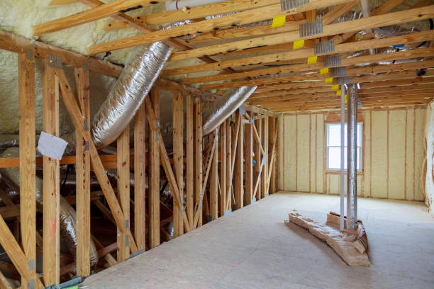 Trusted Citrus Park, AZ Insulation Contractor Experts