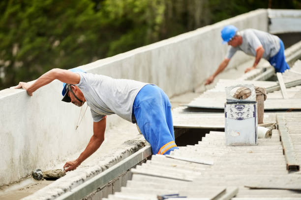 Best Geographic-Specific Insulation Services in Citrus Park, AZ