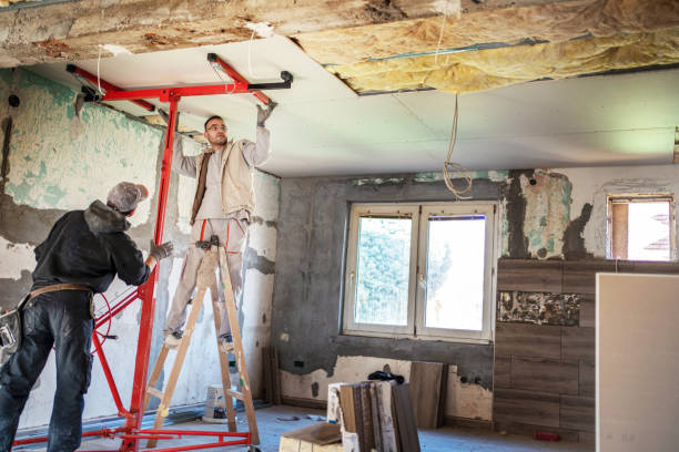 Best Residential Insulation in Citrus Park, AZ