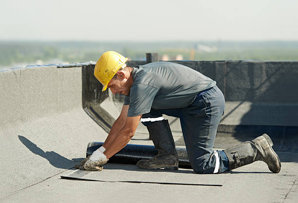 Best Energy Efficiency Insulation in Citrus Park, AZ